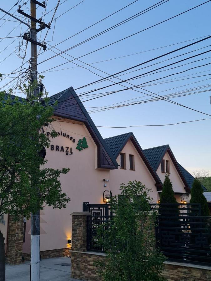 Pensiunea Brazi 투르다 외부 사진