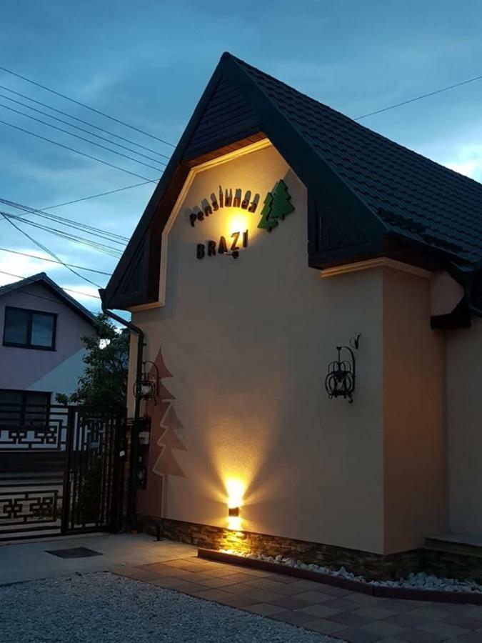Pensiunea Brazi 투르다 외부 사진